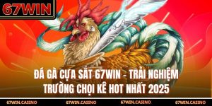 Đá Gà Cựa Sắt 67WIN - Trải Nghiệm Trường Chọi Kê Hot Nhất 2025