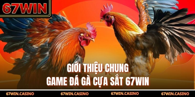 Giới thiệu chung game đá gà cựa sắt 67WIN