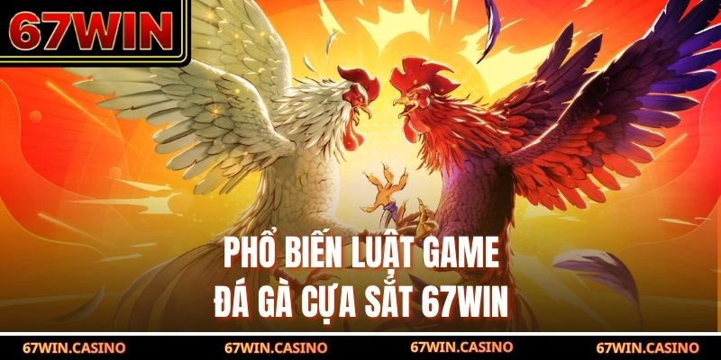 Phổ biến luật game đá gà cựa sắt 67WIN
