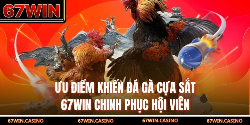Ưu điểm khiến đá gà cựa sắt 67WIN chinh phục hội viên